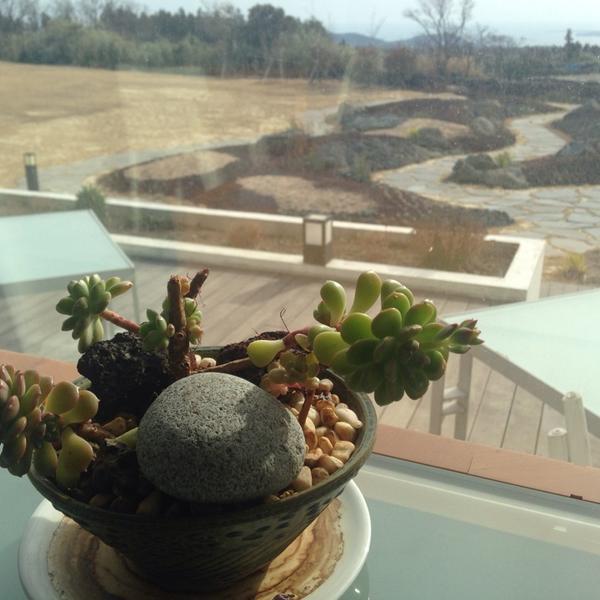 Photo taken at 올리브카페 Olive Cafe by Shelly K. on 3/7/2014-济州西归浦市119号 OliveYoung美妆店 Photo taken at 올리브카페 Olive Cafe by Shelly K. on 3/7/2014