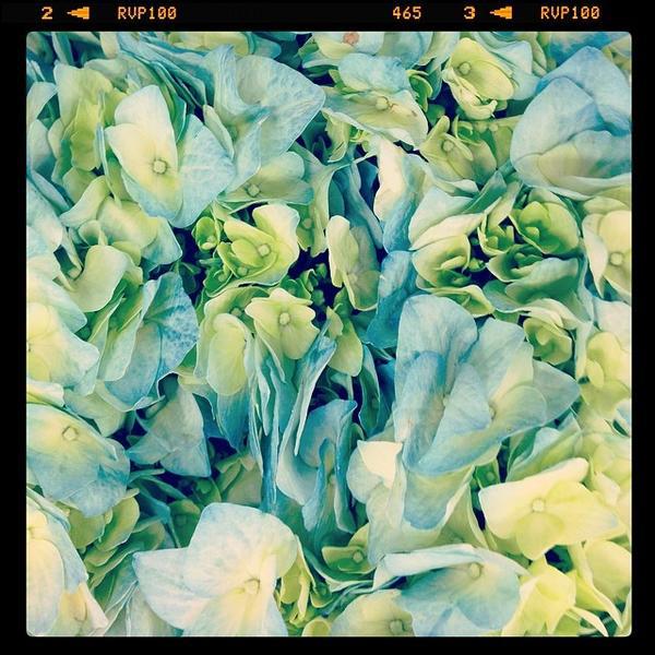 Photo taken at Trader Joe's by Danny E. on 3/17/2014