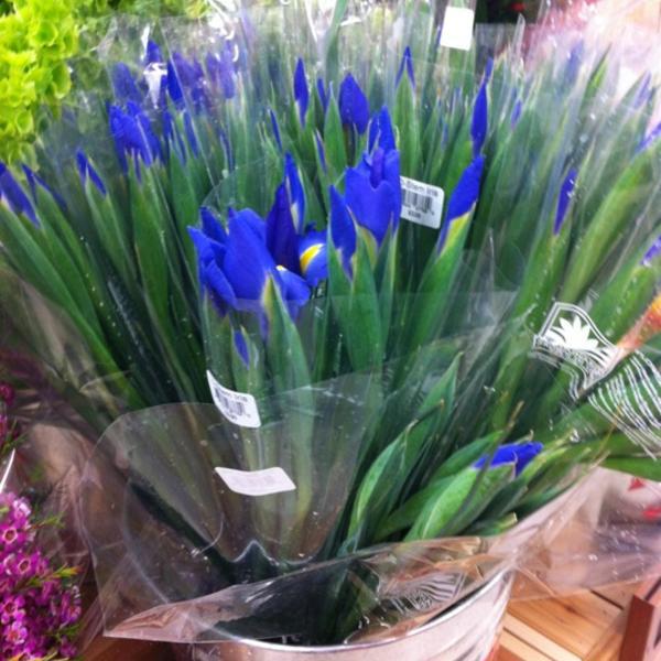 Photo taken at Trader Joe's by Janelle K. on 3/5/2012