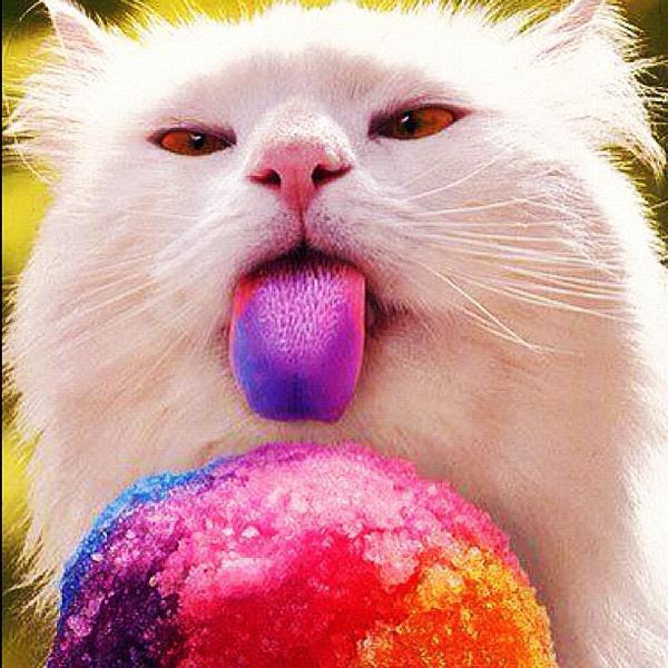 Photo taken at Colruyt by David D. on 4/21/2012