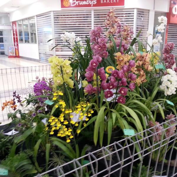Photo taken at Coles by Graeme B. on 9/17/2013-塞夫顿公园,南澳洲5083塞夫顿公园北主路 Photo taken at Coles by Graeme B. on 9/17/2013