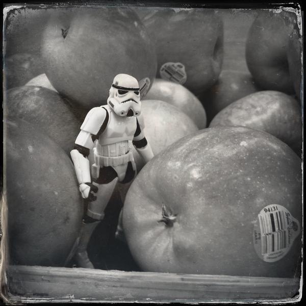 Photo taken at Trader Joe's by Rey G. on 5/5/2013-密苏里州圣刘易斯城布伦特伍德中心48号 Photo taken at Trader Joe's by Rey G. on 5/5/2013