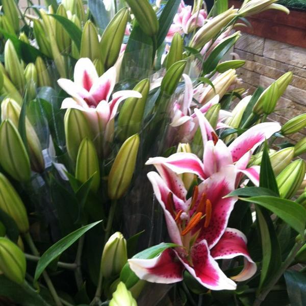 Photo taken at Whole Foods Market by Gina B. on 4/17/2012