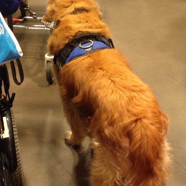 Photo taken at Albert Heijn by Sevtap P. on 10/22/2013