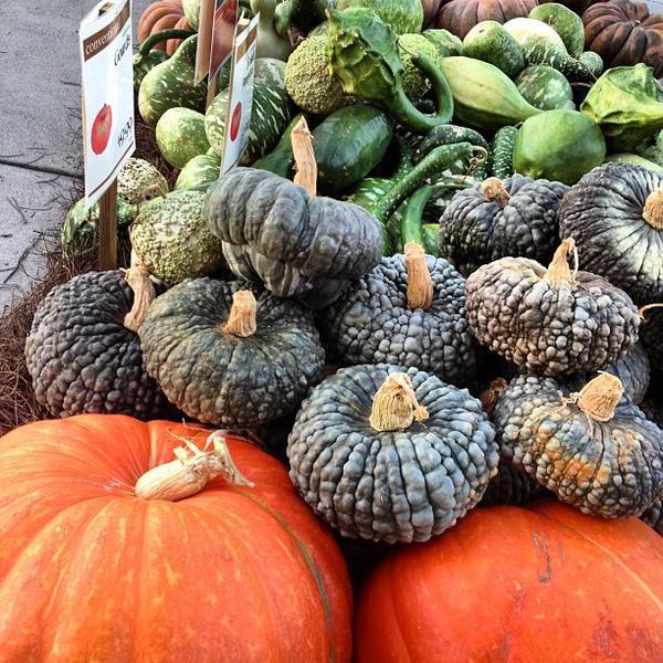 Whole Foods Market全食超市休斯顿店图片库