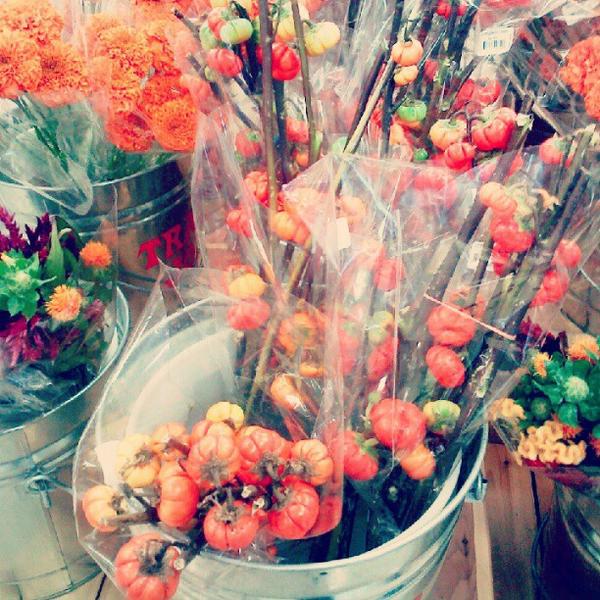 Photo taken at Trader Joe's by Lisa on 9/20/2012-加尼福尼亚 洛杉矶海波龙大道2738(在密苏里安大略省休闲街) Photo taken at Trader Joe's by Lisa on 9/20/2012