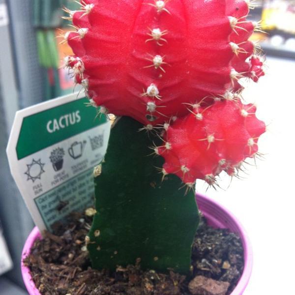 Photo taken at Big W by Meila W. on 8/21/2012
