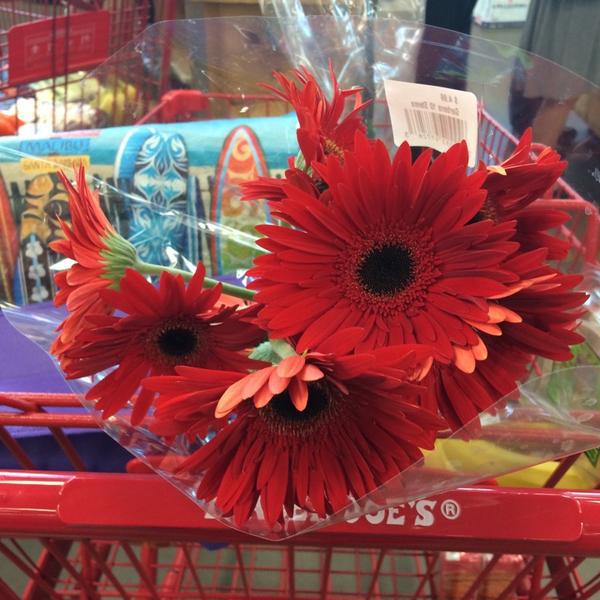 Photo taken at Trader Joe's by Danielle W. on 6/5/2014