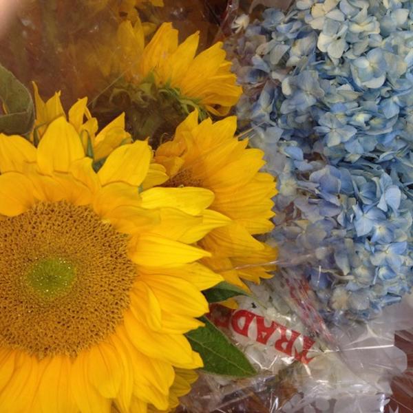 Photo taken at Trader Joe's by Michelle D. on 8/18/2012