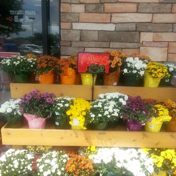 Photo taken at Trader Joe's by Christa D. on 8/29/2013