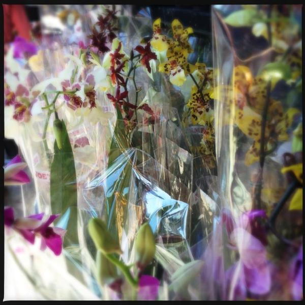 Photo taken at Trader Joe's by Arriman on 10/29/2012-加利福尼亚州谢尔曼奥克斯黑泽汀大道滨江路14119号 Photo taken at Trader Joe's by Arriman on 10/29/2012