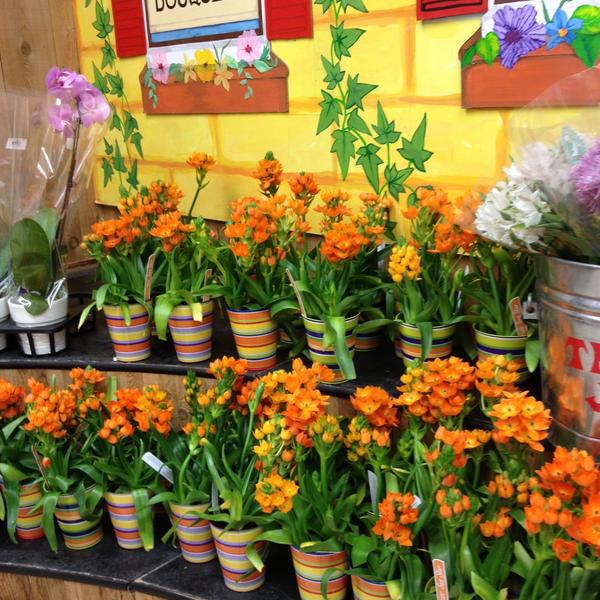 Photo taken at Trader Joe's by K@rTh!kk R. on 5/7/2013