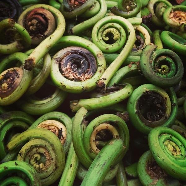 Photo taken at Whole Foods Market by Michael W. on 5/24/2014