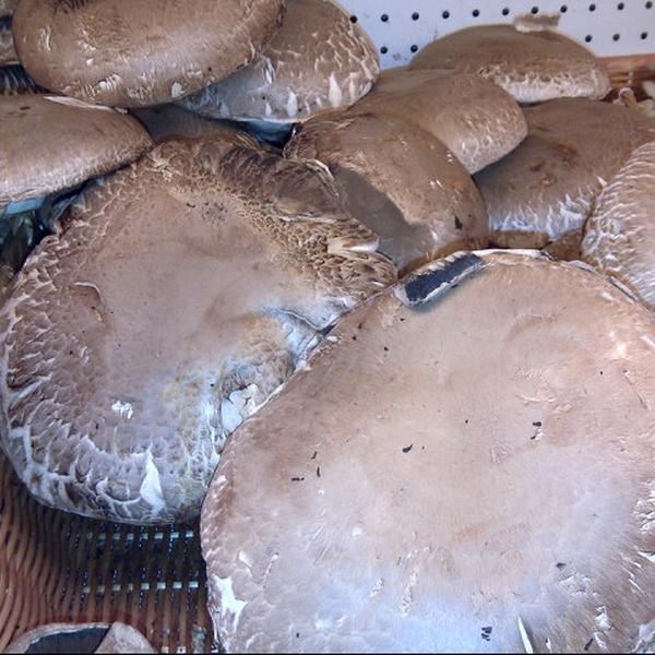 Photo taken at Loblaws by Erich Nolan B. on 3/3/2013