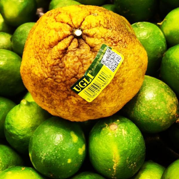 Photo taken at Loblaws by Jennifer R. on 5/24/2014