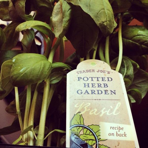 Photo taken at Trader Joe's by Joy M. on 9/7/2012