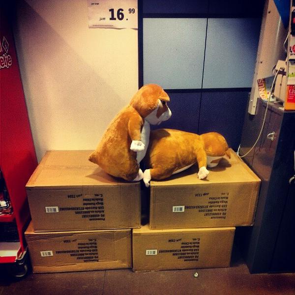 Photo taken at Albert Heijn by Timo B. on 9/21/2012