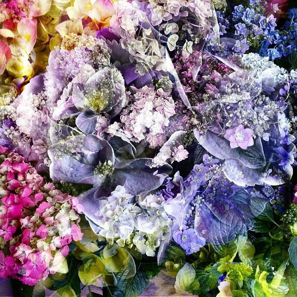 Photo taken at Trader Joe's by Daryl B. on 3/4/2014