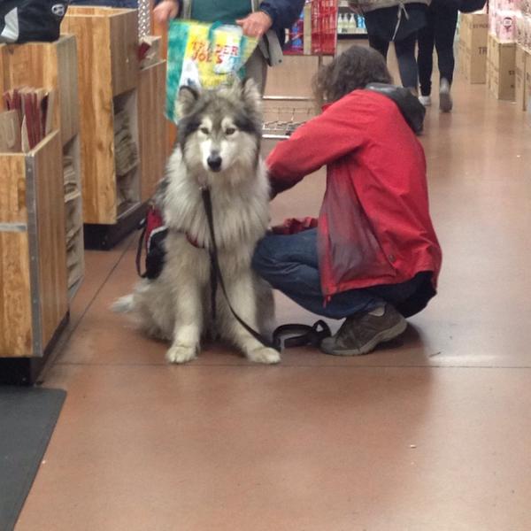 Photo taken at Trader Joe's by Julia S. on 1/12/2014