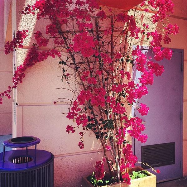 Photo taken at Trader Joe's by Linz S. on 4/24/2014