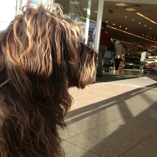 Photo taken at Waitrose by Andrew M. on 2/2/2013
