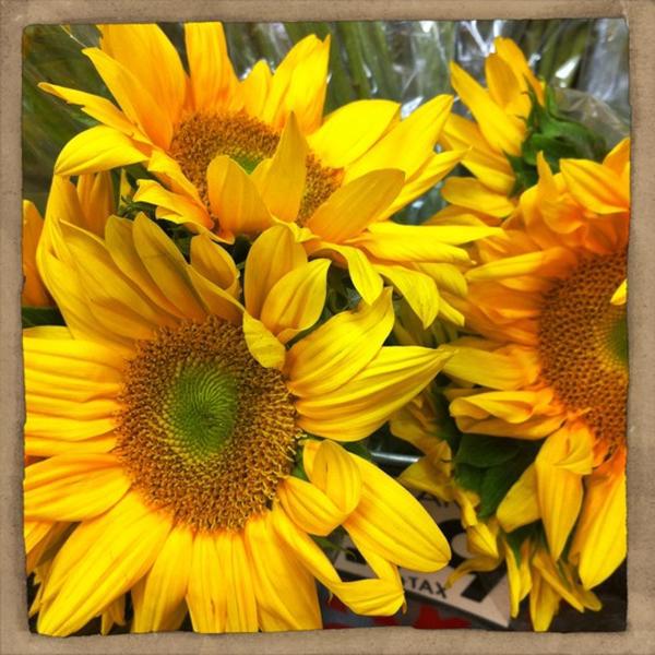 Photo taken at Trader Joe's by Evangeline B. on 5/6/2012-加尼福尼亚 奥克兰大学大道5727(在橡树林大道) Photo taken at Trader Joe's by Evangeline B. on 5/6/2012