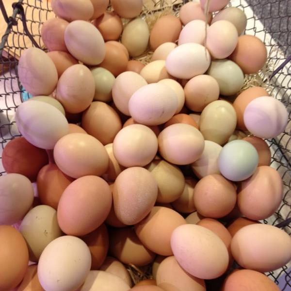 Photo taken at ICA Supermarket Fäladstorget by Carl L. on 3/9/2012