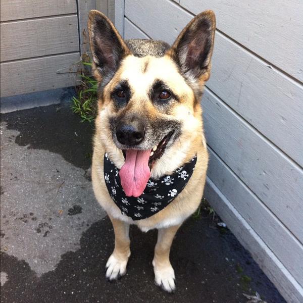 Photo taken at Trader Joe's by Ashley P. on 4/5/2012-加尼福尼亚太平洋丛林森林大道1170(普雷斯科特巷) Photo taken at Trader Joe's by Ashley P. on 4/5/2012