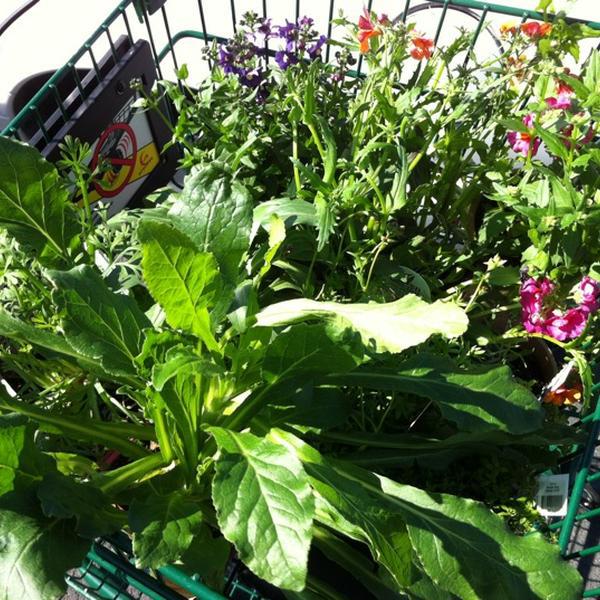 Photo taken at Whole Foods Market by Karen P. on 4/5/2012-加尼福尼亚圣罗莎 城市 康涅狄格R390(在盖尔南韦尔路) Photo taken at Whole Foods Market by Karen P. on 4/5/2012