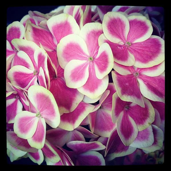 Photo taken at Trader Joe's by melissa✨ on 3/18/2012