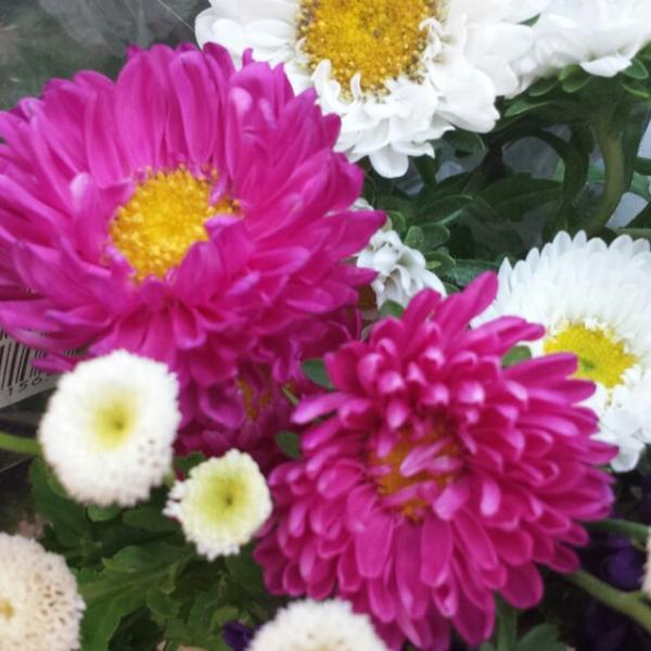 Photo taken at Trader Joe's by Kim S. on 9/8/2013