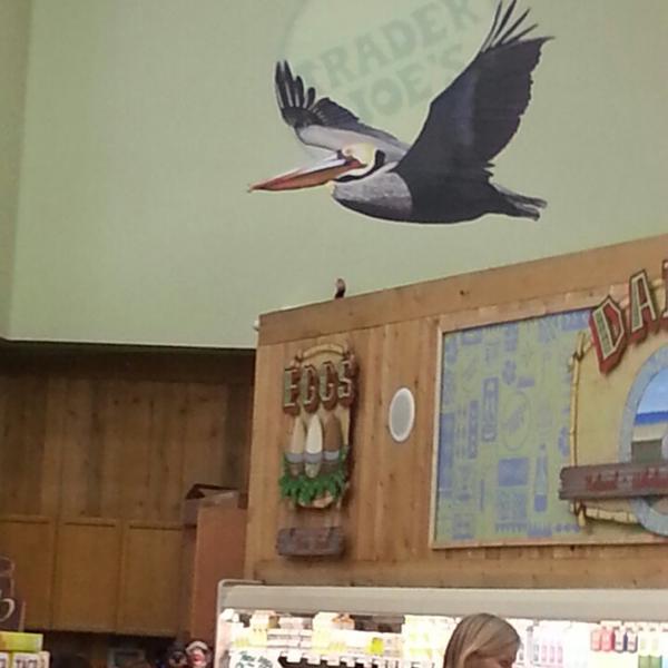 Photo taken at Trader Joe's by Jim B. on 7/3/2013-美国加利福尼亚州长滩太平洋海岸高速公路东6451 Photo taken at Trader Joe's by Jim B. on 7/3/2013