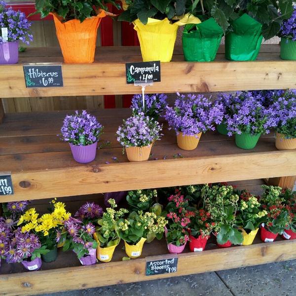 Photo taken at Trader Joe's by Stephen S. on 8/4/2013