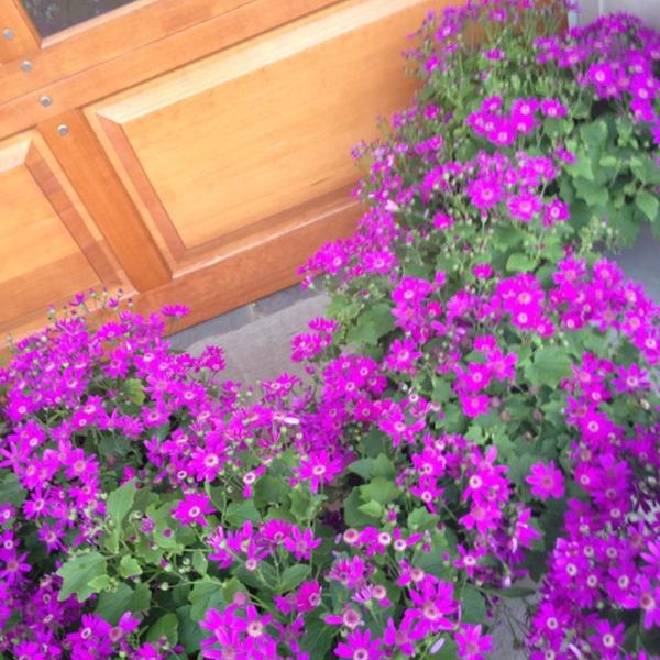 Photo taken at Whole Foods Market by SueBDo on 4/12/2012