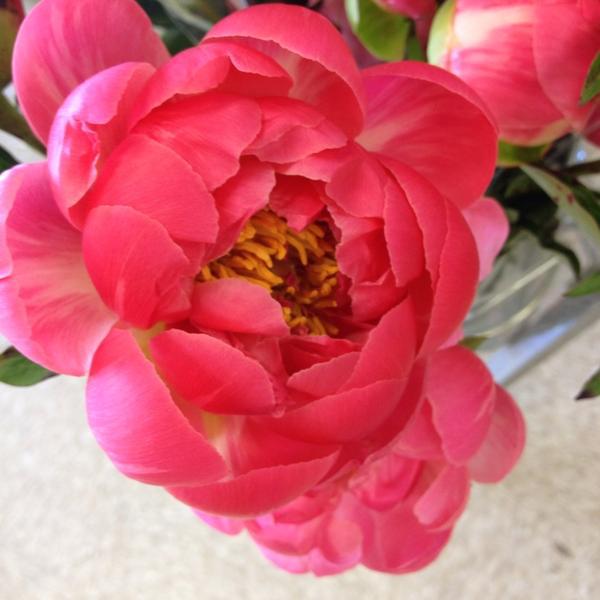 Photo taken at Trader Joe's by Terri S. on 5/16/2014