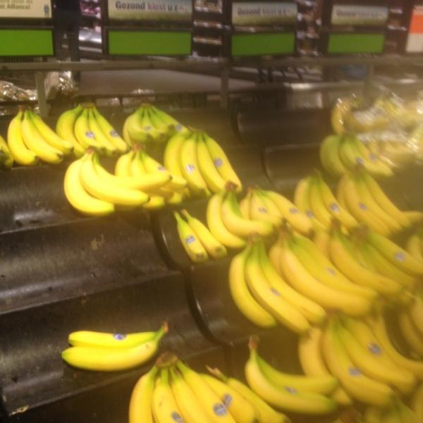 Photo taken at Albert Heijn by John on 6/16/2012-荷兰南荷兰省巴伦德雷赫特中间车道97号 Photo taken at Albert Heijn by John on 6/16/2012