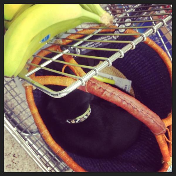 Photo taken at Publix by Dawn L. on 1/25/2013