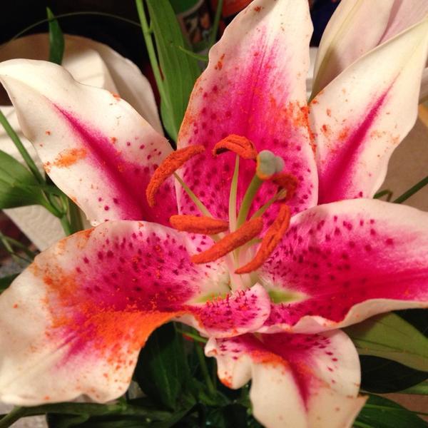 Photo taken at Trader Joe's by @ngie on 11/11/2013