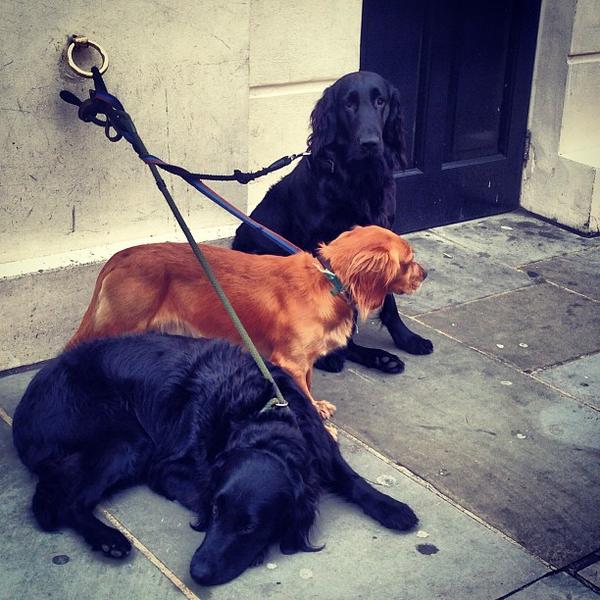 Photo taken at Waitrose by Zoe G. on 9/21/2013-英国伦敦贝尔格莱维亚区莫特克比街27 Photo taken at Waitrose by Zoe G. on 9/21/2013