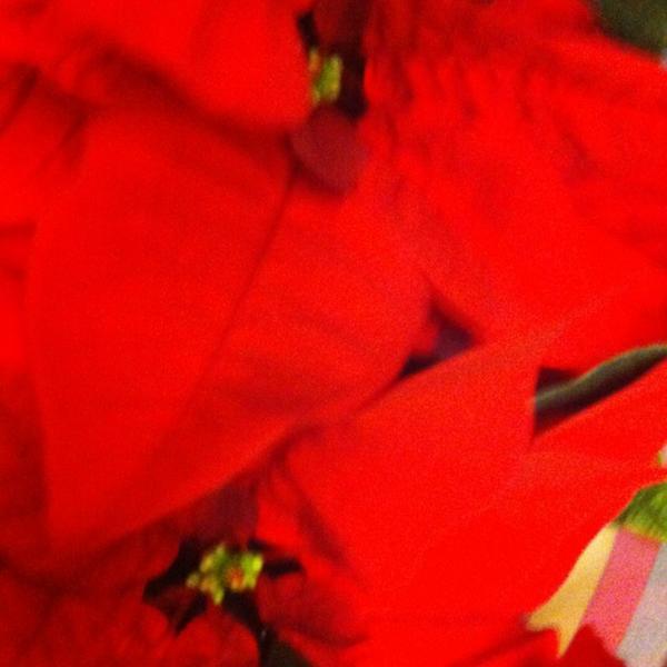 Photo taken at ASDA by Michelle M. on 12/17/2012-英国伦敦埃德蒙顿西芒1号 Photo taken at ASDA by Michelle M. on 12/17/2012