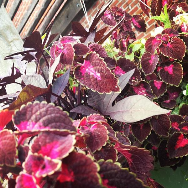 Photo taken at Whole Foods Market by Jose S. on 5/21/2012