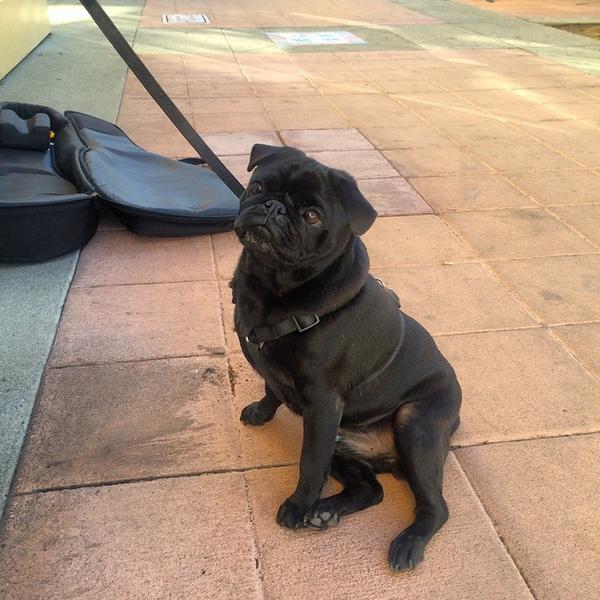 Photo taken at Trader Joe's by Megan F. on 12/10/2014