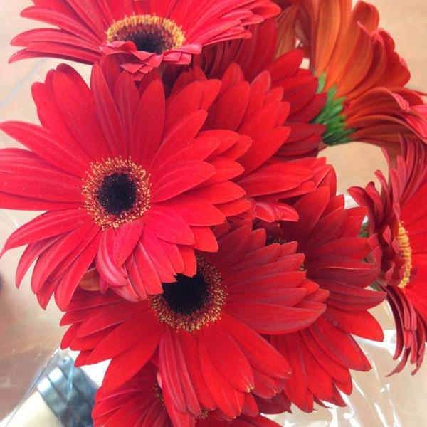 Photo taken at Trader Joe's by Nikelly C. on 5/27/2013