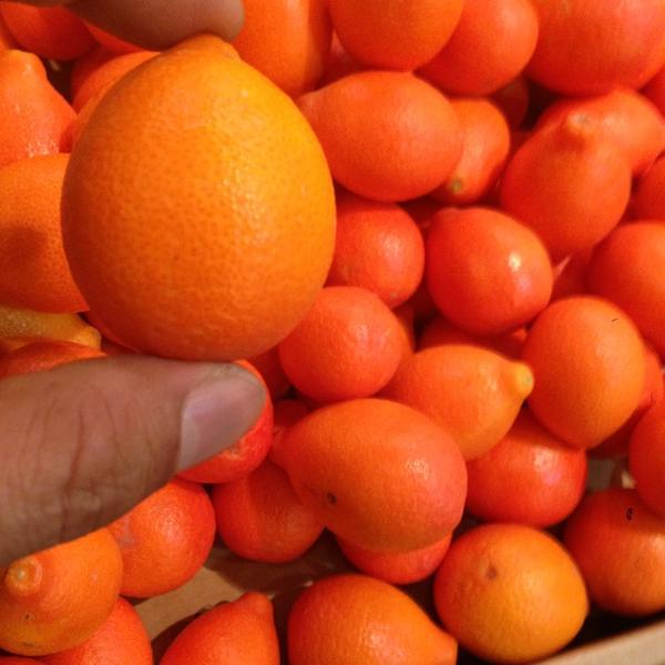 Photo taken at Whole Foods Market by Suzaki S. on 2/27/2013-奥勒冈州波兰特12大道西南路沙发街1210号 Photo taken at Whole Foods Market by Suzaki S. on 2/27/2013