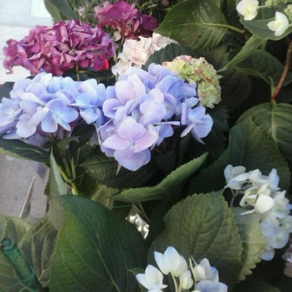 Photo taken at Trader Joe's by Megan H. on 5/9/2013-加利福尼亚州橙色商场塔斯汀北街2114号 Photo taken at Trader Joe's by Megan H. on 5/9/2013