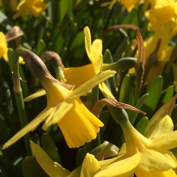 Photo taken at ICA Vanadis Deli by Carl L. on 4/10/2014-瑞典斯德哥尔摩瓦纳蒂斯路12B Photo taken at ICA Vanadis Deli by Carl L. on 4/10/2014