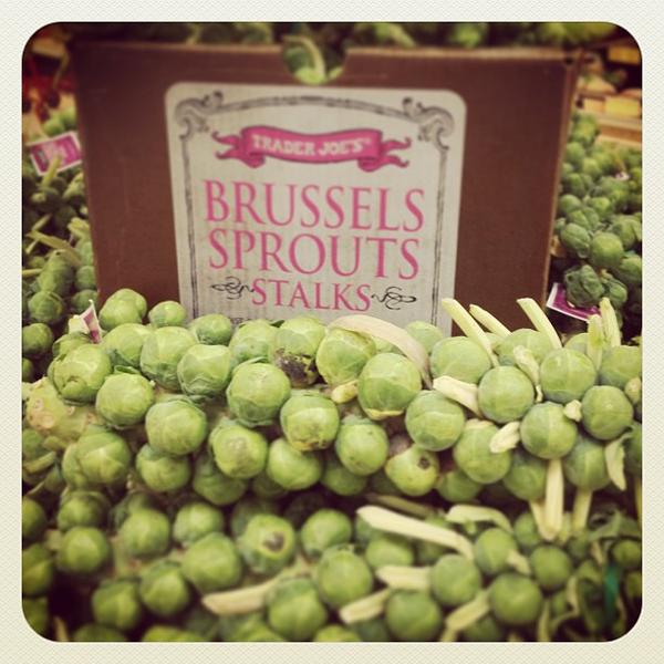 Photo taken at Trader Joe's by Alexander T. on 12/17/2012