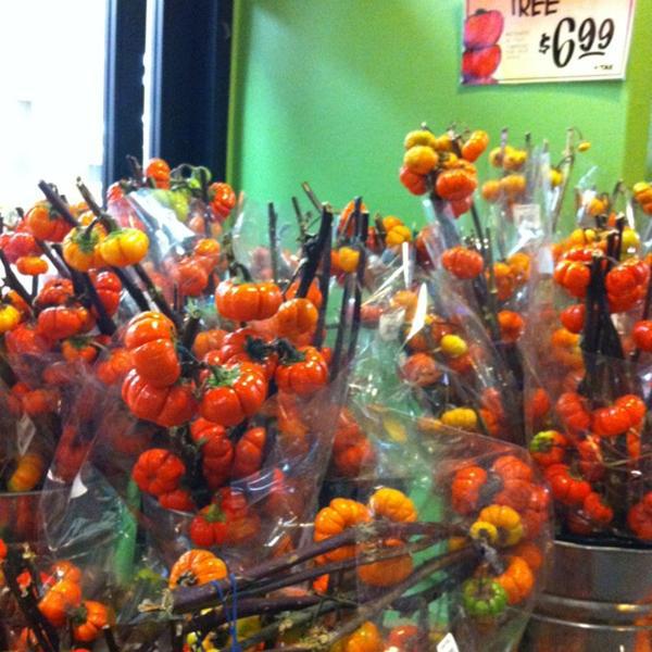 Photo taken at Trader Joe's by Jocelyn C. on 10/14/2012