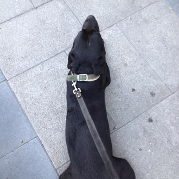 Photo taken at Caprabo by Antonio F. on 7/16/2012