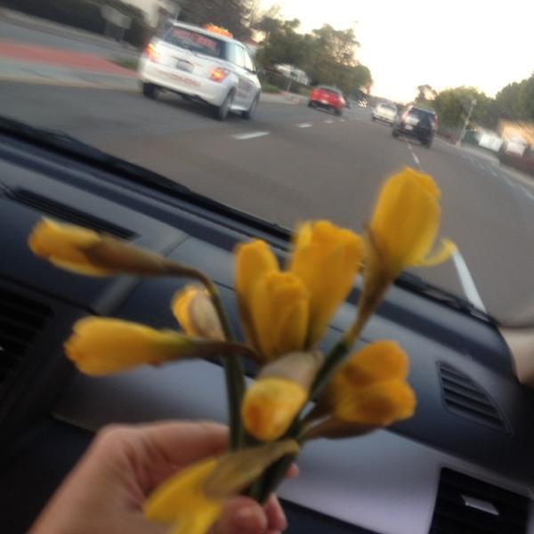 Photo taken at Trader Joe's by Search Index ;. on 3/21/2012